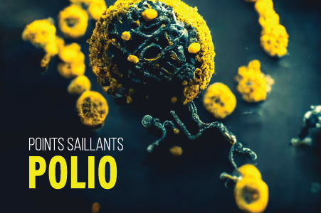 La poliomyélite (polio)